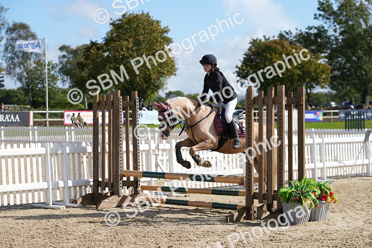 SBM_46656 - J7 - Junior Pony 60cm Championship