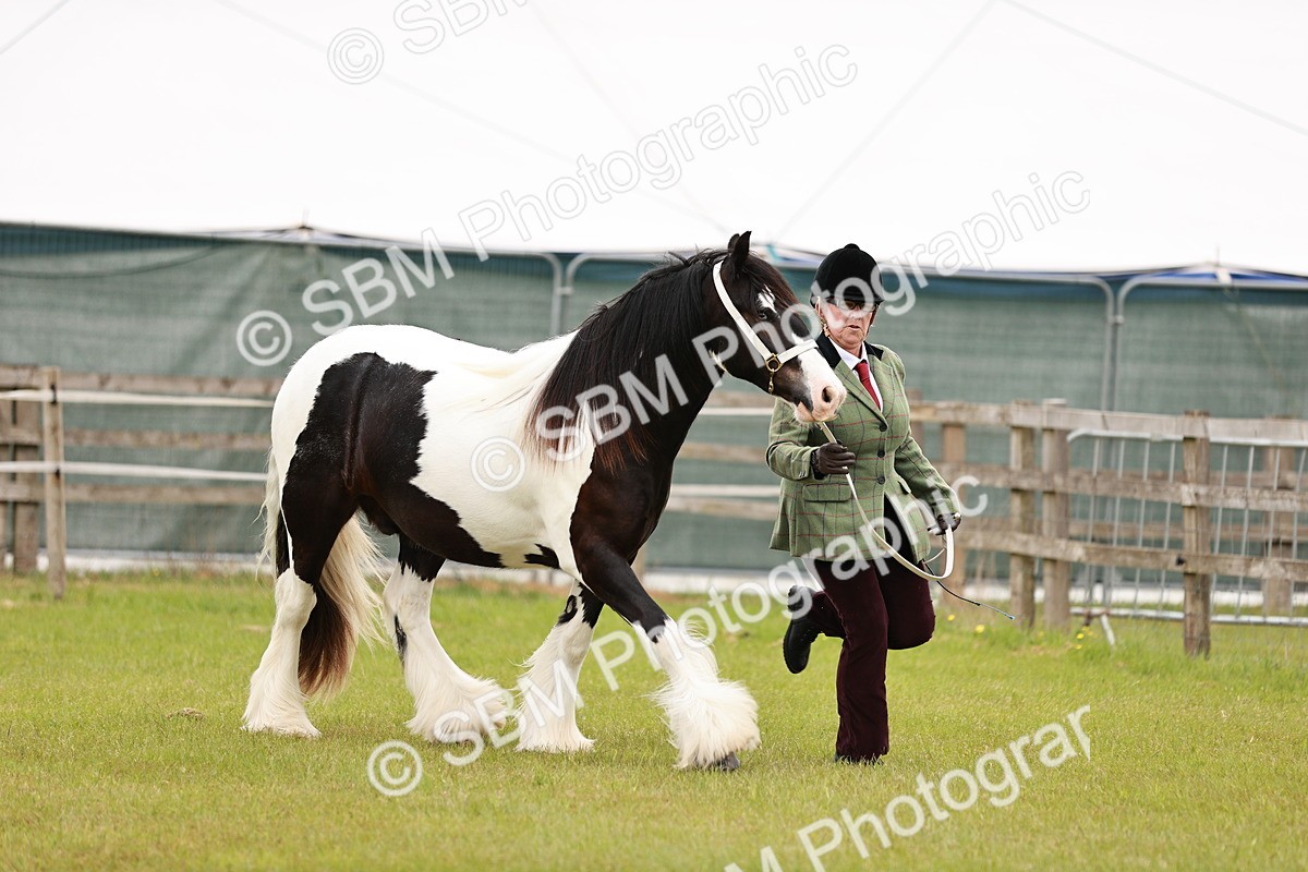 SBM_05957 - Class 39-41 TGCA In Hand and Ridden