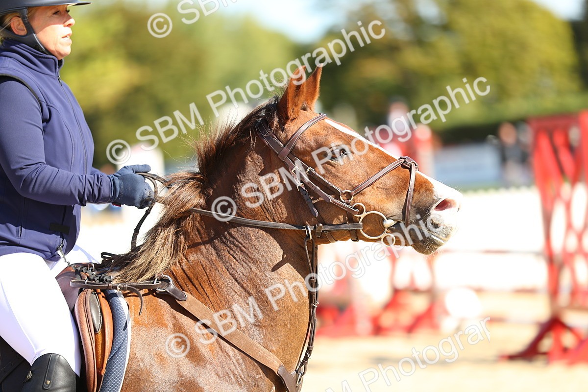 SBM_17750 - J33 - Senior 75cm Championship