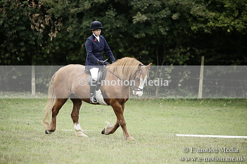 BVR080918 43 - BVRC Novice Dressage & CR 08/09/18