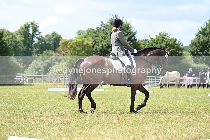 WJ7_4795 - Time 11:22 to 11:51