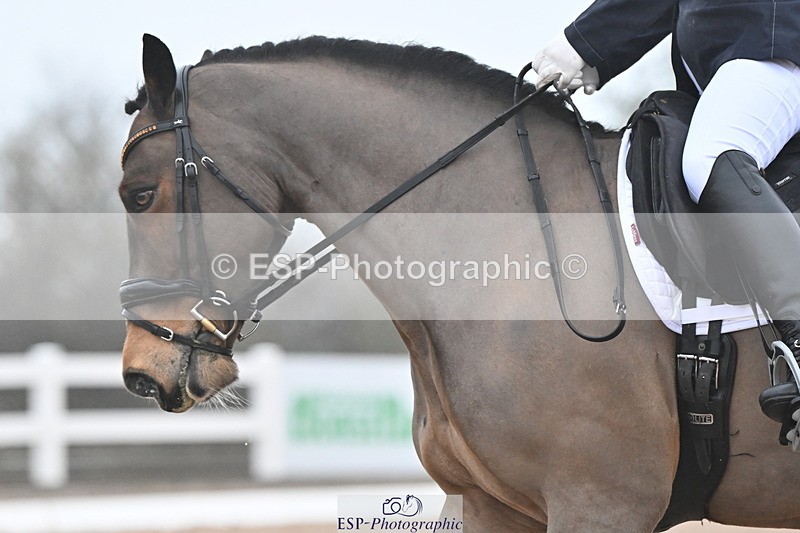 240217A-095931-00503 - 205-Emma.Murch-Gwynfaes.Gethin