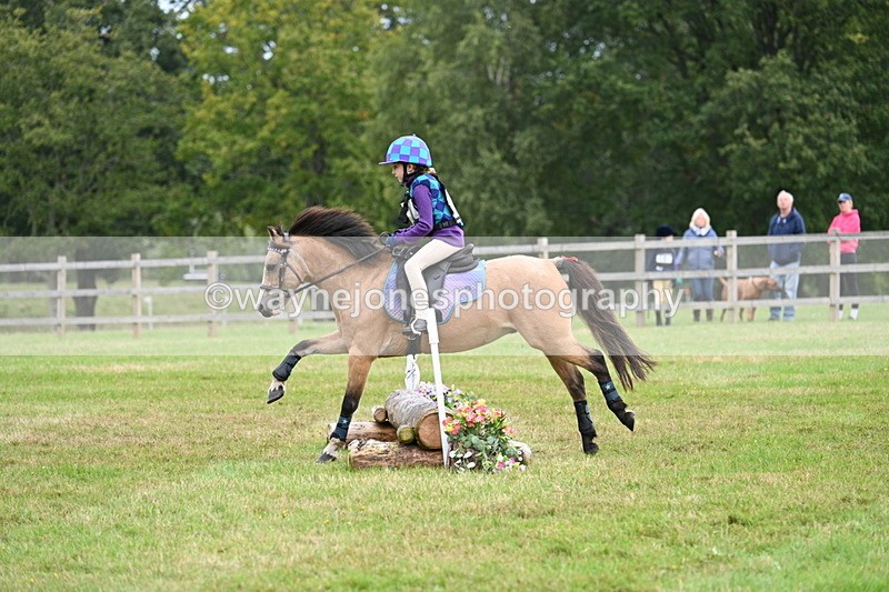 WJ7_7163 - 40cm Time 10:06 to 10:24