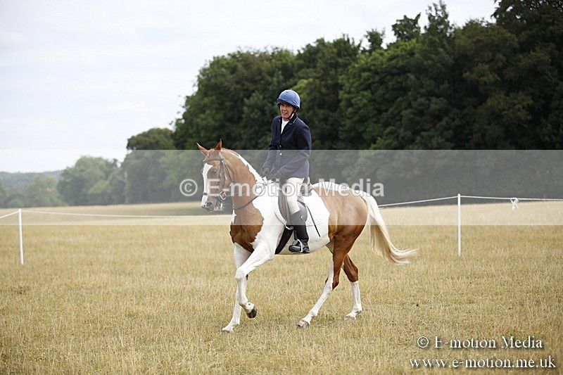 _C7A9519 - BVRC Show 2018 Ring 1