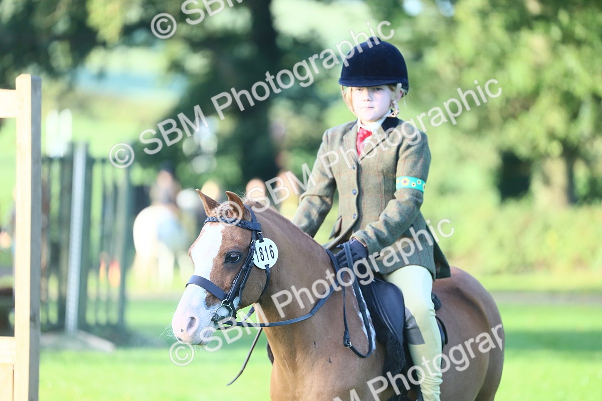 SBM_31808 - S28 - Nursery Stakes Working Hunter Pony