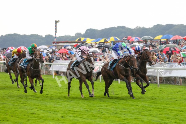 100923-Race 6-Anjo Bonita-3994 - Race 6 4.25pm Hanson Springs 60th Anniversary Handicap at York