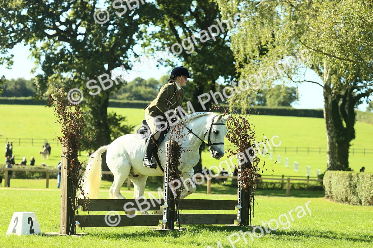 SBM_37382 - S29 - Novice & Newcomers Working Hunter Pony