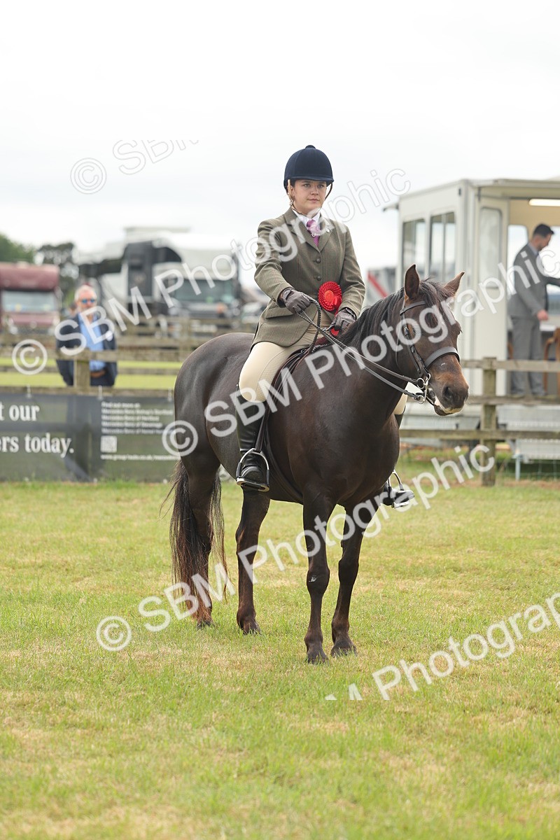 SBM_09143 - Class 78-80 - Ridden M&M Non Welsh Ponies