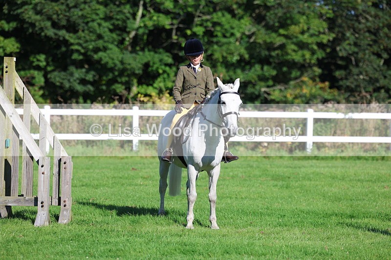 3E7A7658 - Class 1: Novice Working Hunter Pony