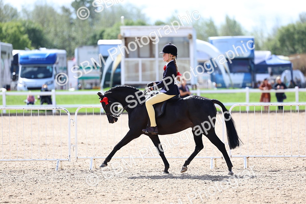 SBM_13317 - Class 311 - Ridden Show Pony Show Hunter Pony