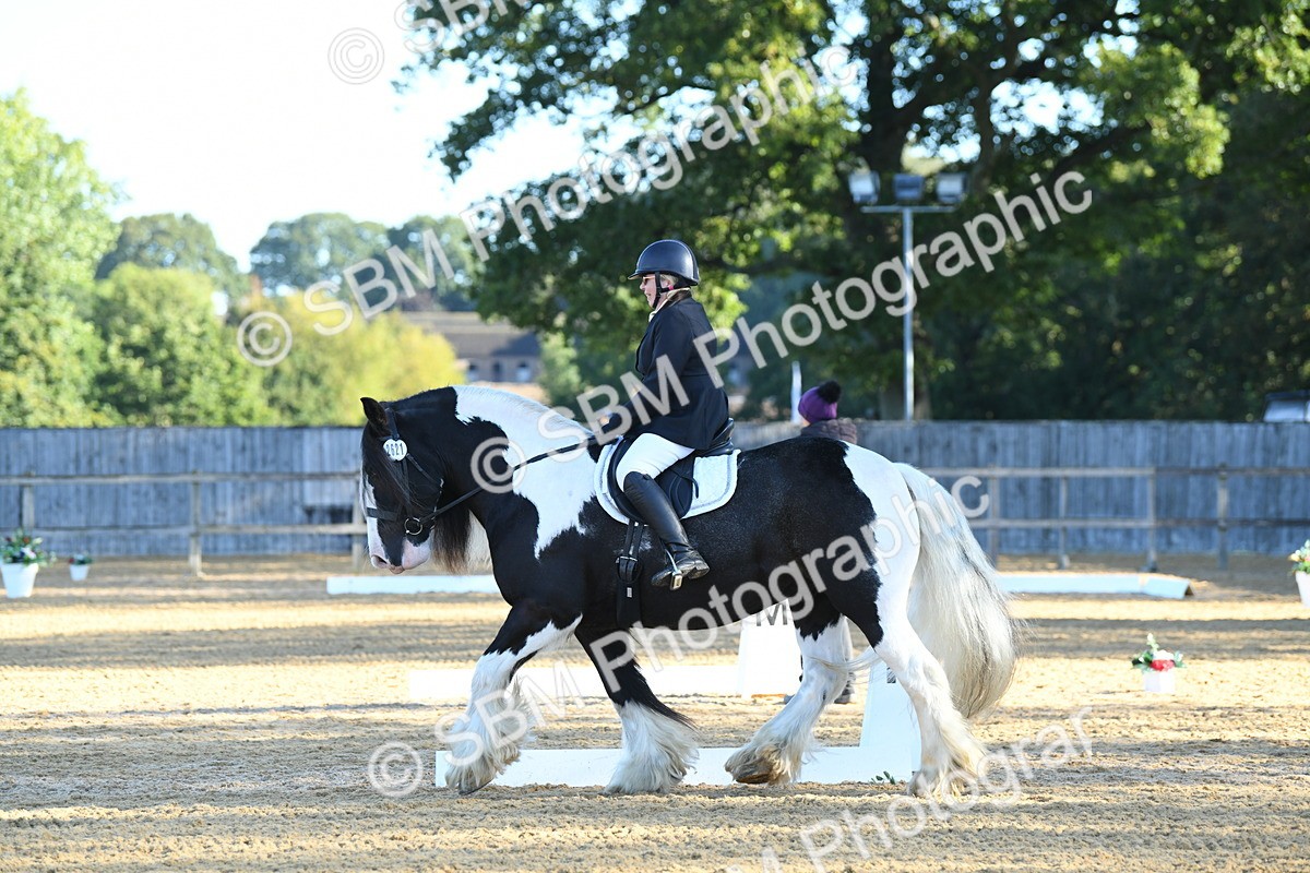 SBM_14477 - D4 - Small Tour Championship - Intro B