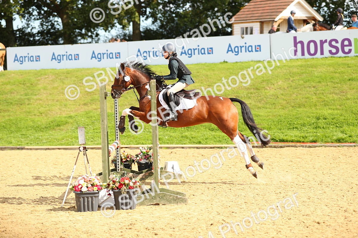 SBM_67361 - J17 - Junior Pony 80cm Championship