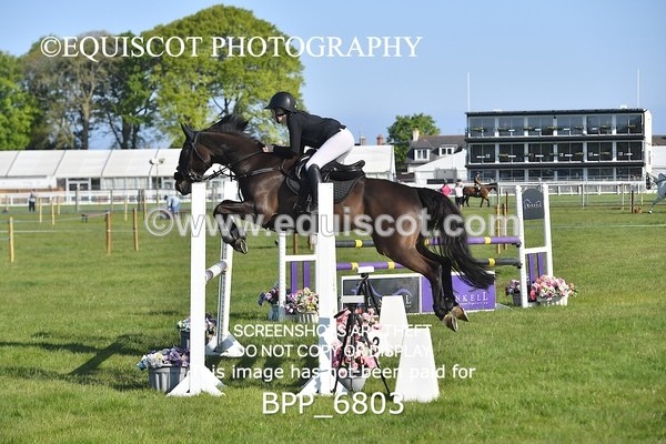 BPP_6803 - CLASS 1 Senior Newcomers/ 1.10m Open