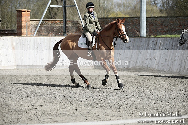 BVRC SJ 170319 340 - Bourne Valley Riding Club Showjumping 17/03/19