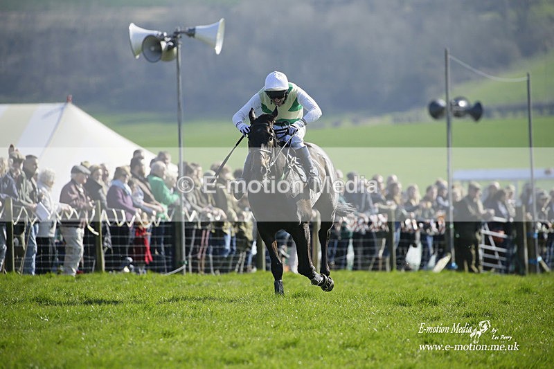 PtP 190322 513 - Wilton Hunt PtP Milborne St Andrew 19/03/22