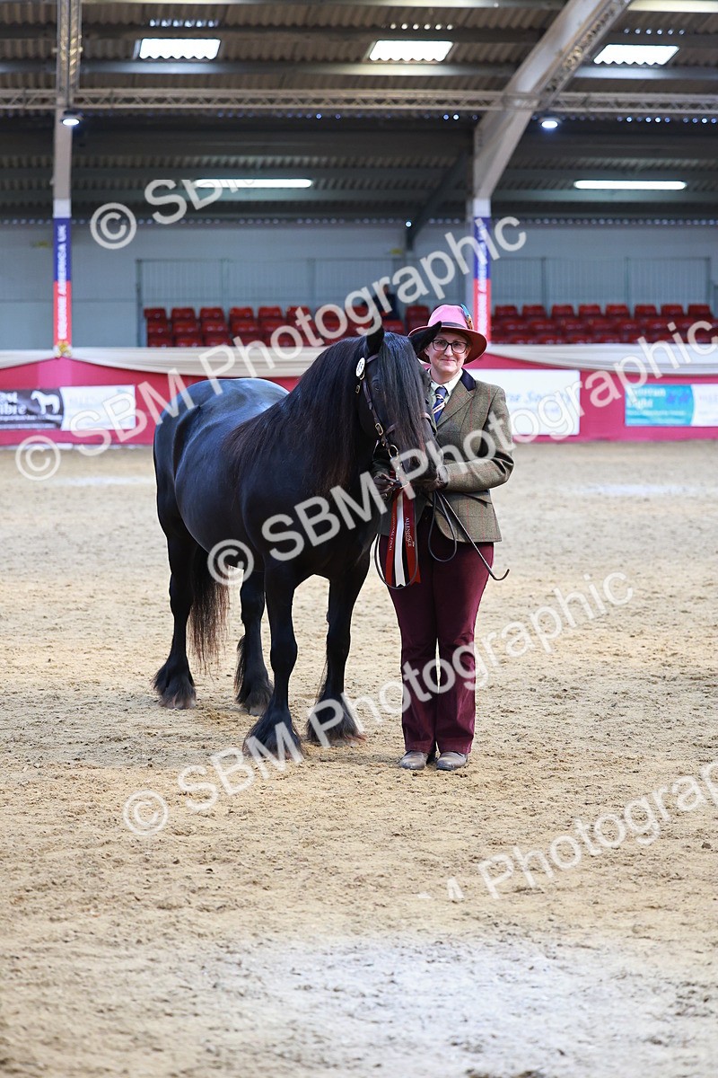 SBM_04334 - Class 9R - IH Pre-Vet