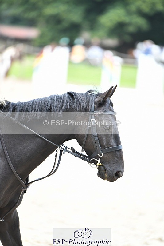 230824-095403-00735 - Round 2 Start to 10.30 coursewalk