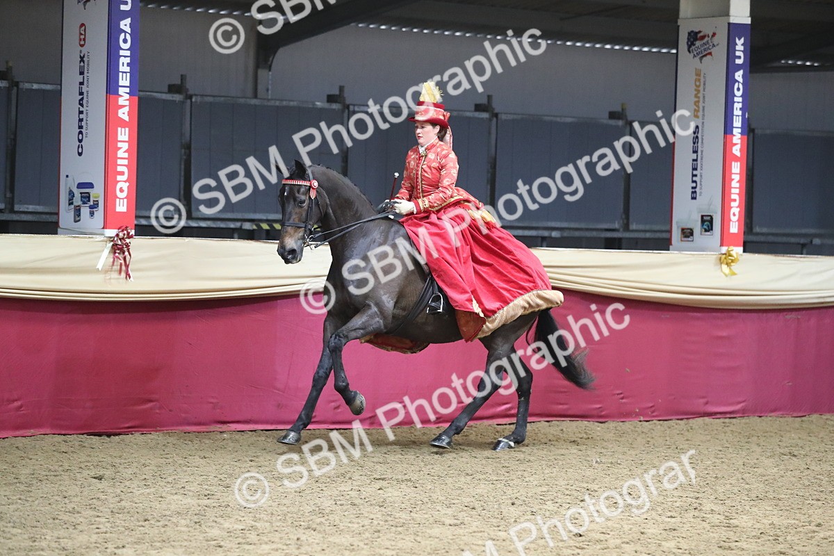 SBM_12147 - Class 107 Ridden Costume- Astride Adult (20+)