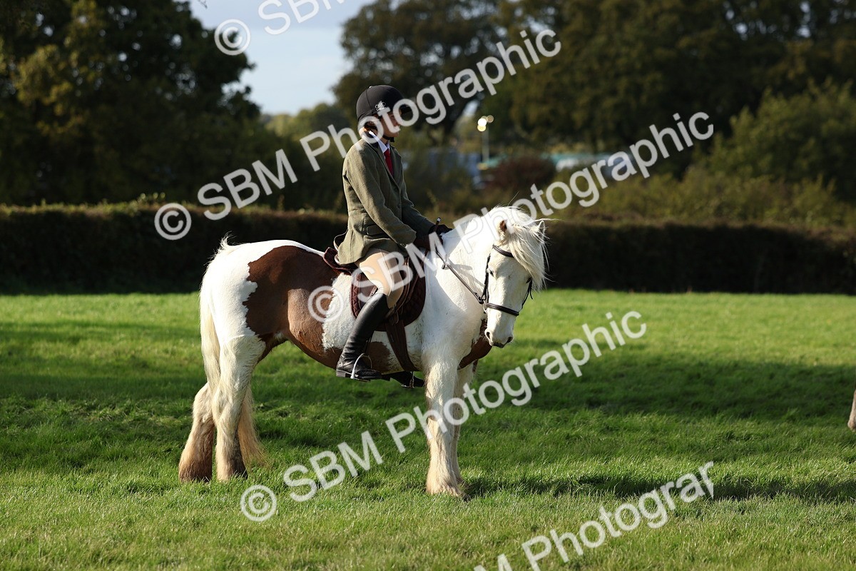 SBM_52491 - S13 - Pony Club Pony
