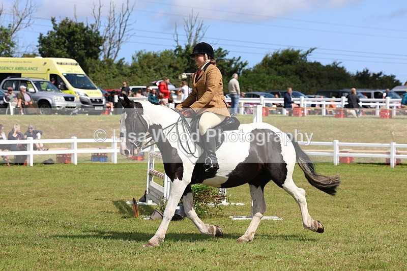 3E7A9903 - Class 5: Rising Star Lightweight/Heavyweight Cobs