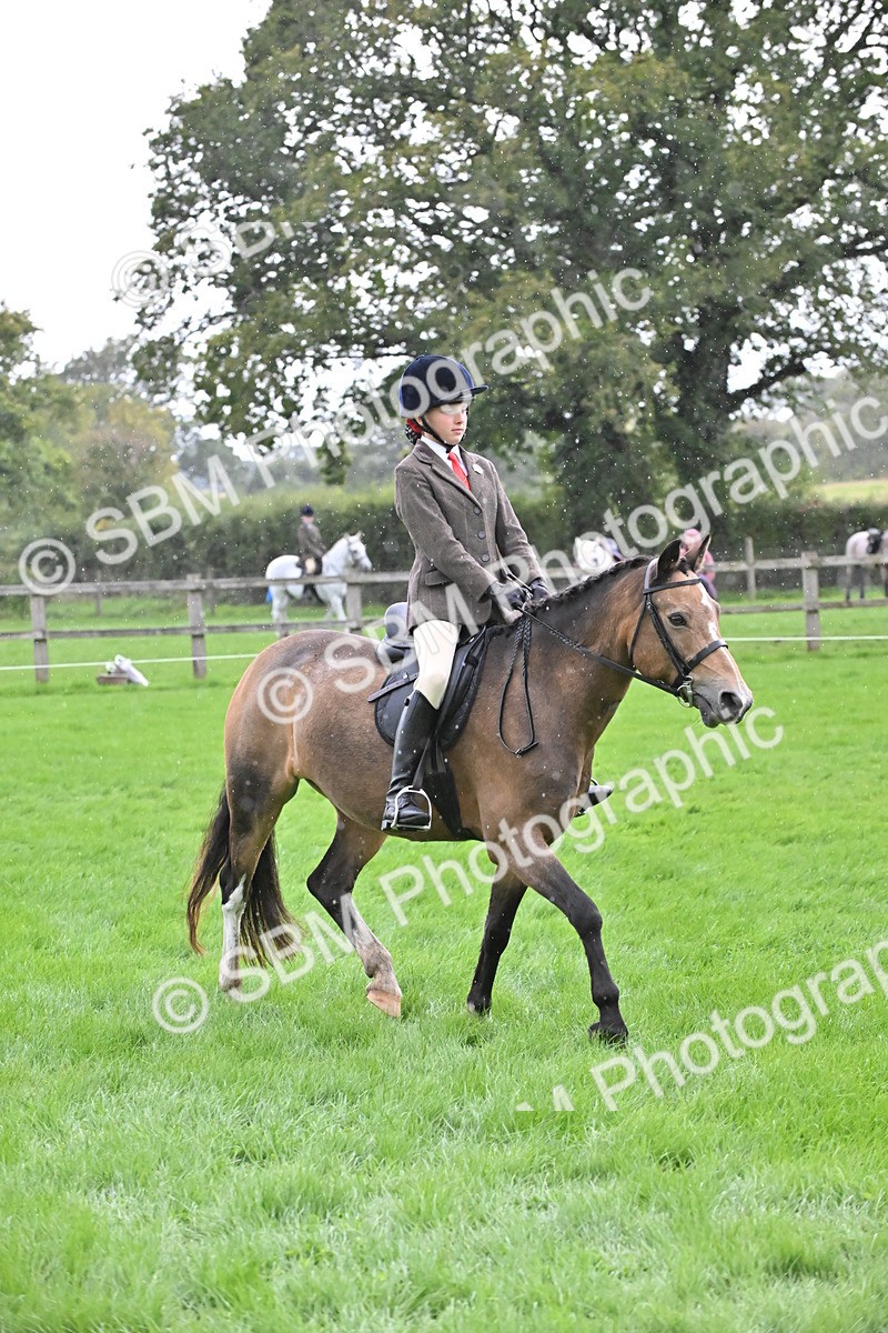 SBM_42943 - S12 - Family Horse & Pony