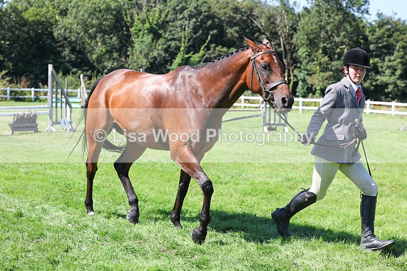 3E7A8506 - Class 4: Novice working Hunter