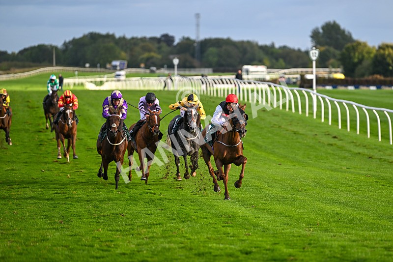 021024-Race 7-Bittalemon-9781 - Race 7