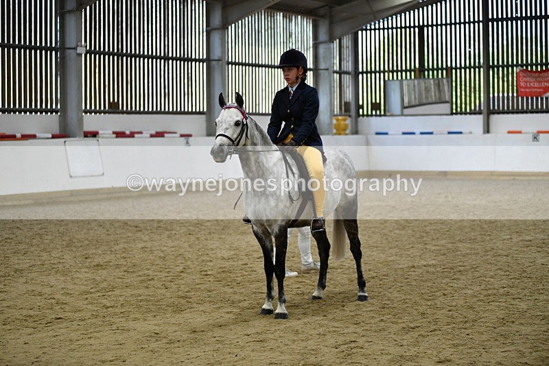 WJ5_7736 - Class 13 Ridden Part Breed