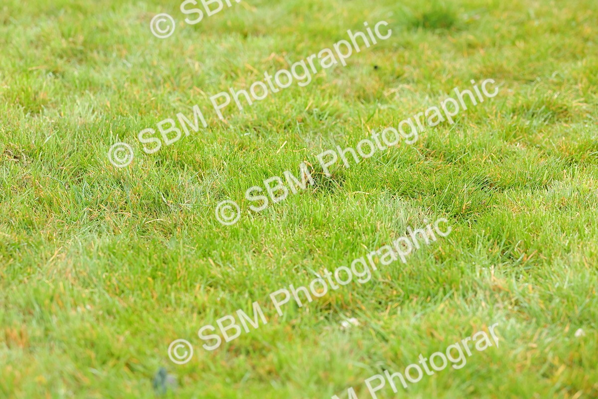 SBM_005786 - Junior 1 2 Final - Pairs Final