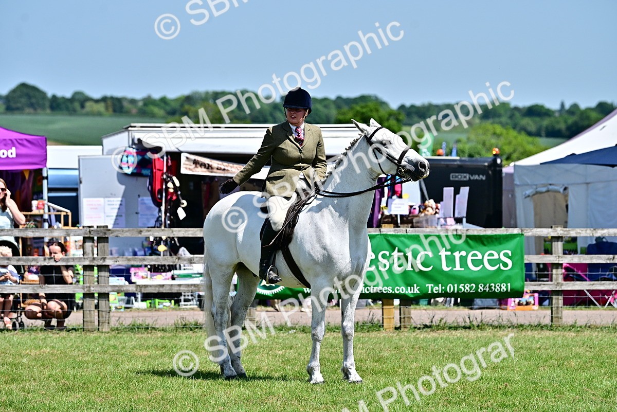 SBM_17499 - Class 95-97 - BSPS LHS Performance Ponies