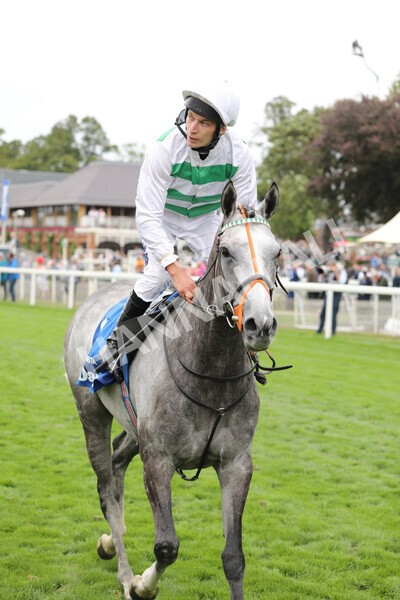 yr18082022r4-49 - Race 4 3.35pm Darley Yorkshire Oaks (British Champions Series Race)