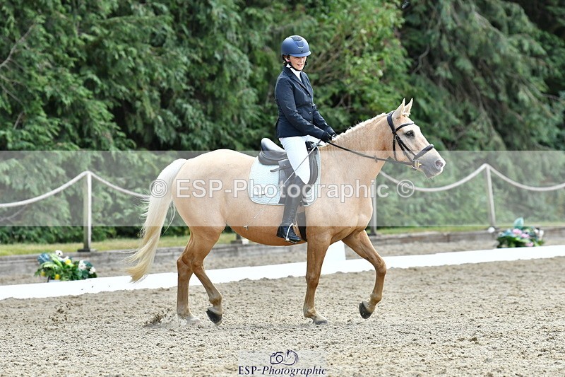 260801A-123419-03989 - Prelim Bronze Break - End