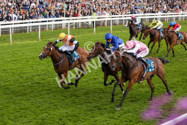 190523-Race 2-Sounds Of Heaven-7730 - Race 2 2.25pm Oaks Farm Stables Fillies' Stakes