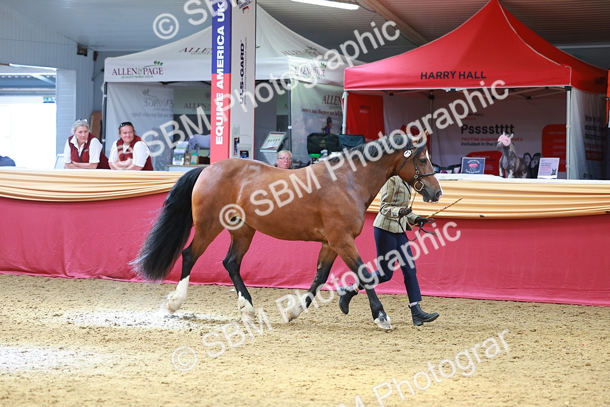SBM_04183 - Class 9R - IH Pre-Vet