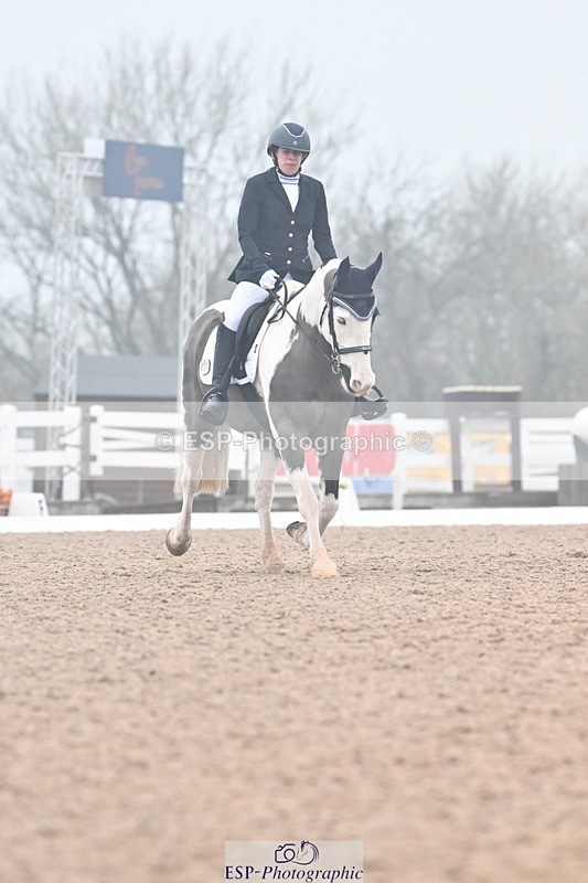 240217A-121101-02134 - 100-Gemma.Pine-Major.IV