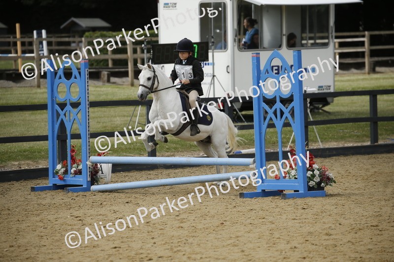 20250622-3725 - 50cm