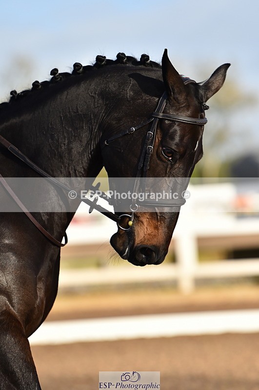 231104A-094910-01212 - Cls 1 Prelim 15