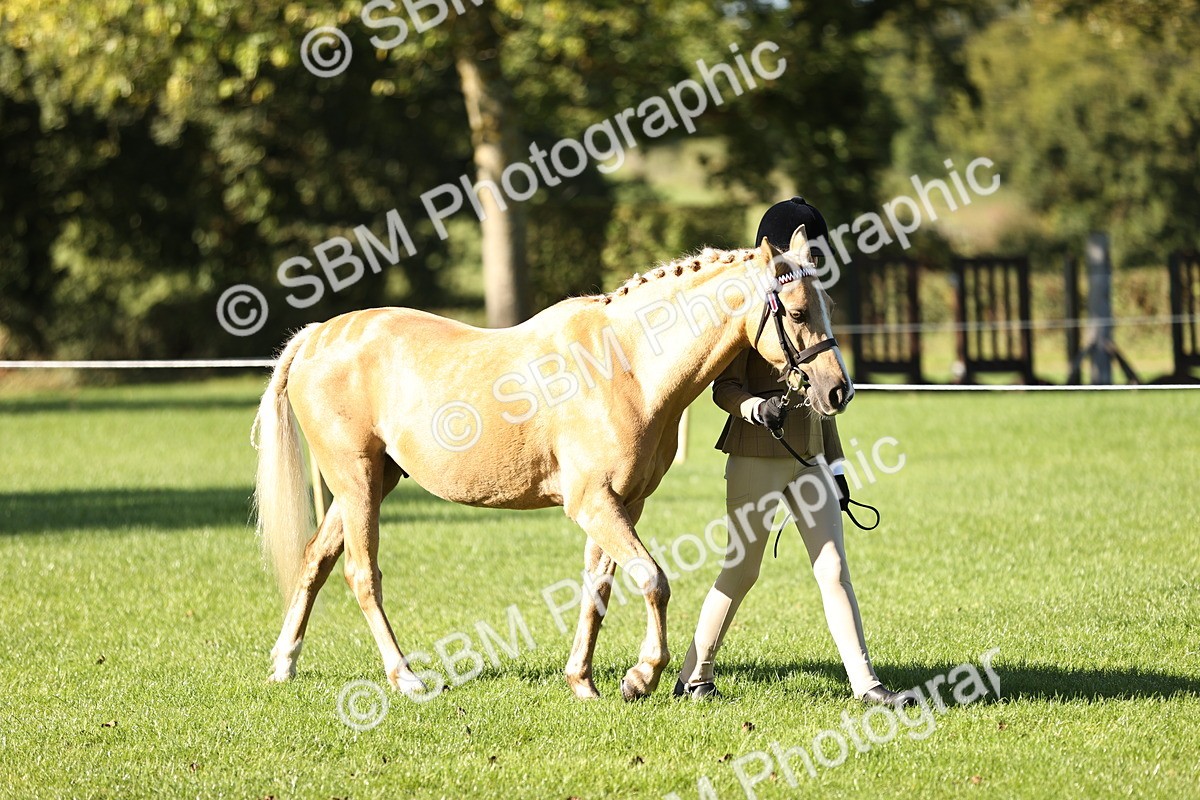 SBM_15840 - S1 - TSR in Hand Horse & Pony Showing