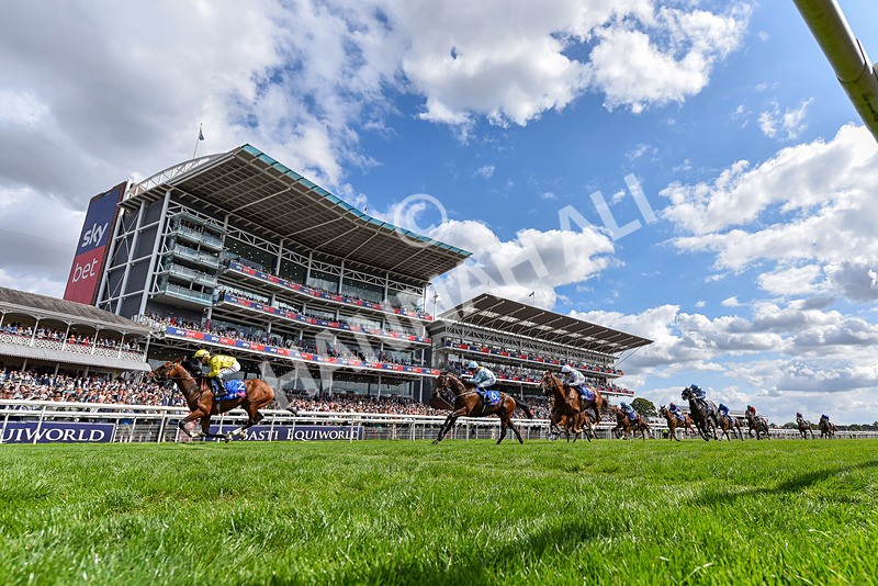 220826-Race 2-Infraad-5958 - Race 2 14.25pm Sky Bet Melrose Handicap