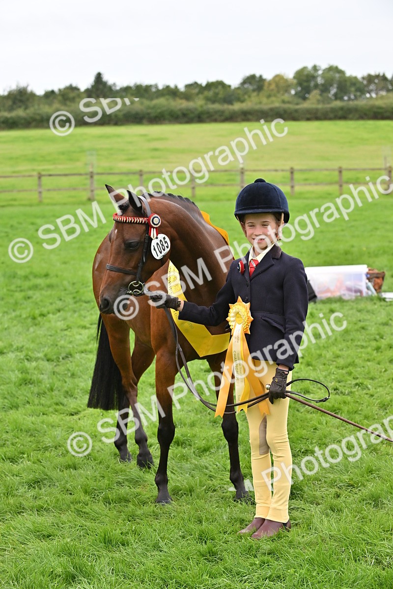 SBM_64951 - S50 - Show Pony & Show Hunter Pony In Hand