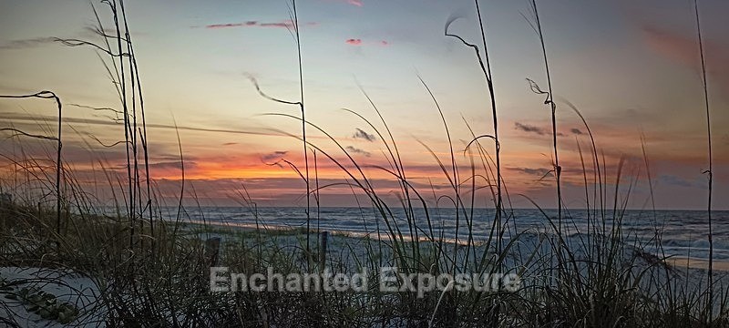 PSX_20240427_075043 - Landscapes