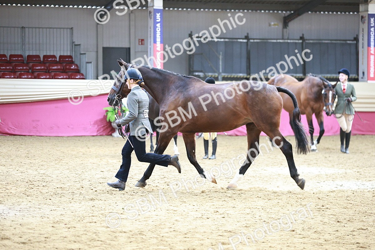 SBM_04854 - Class 7R - Regional IH Diamond