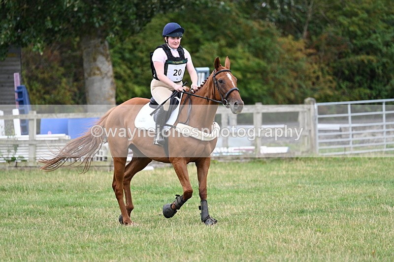 WJ7_4883 - All of 80cm