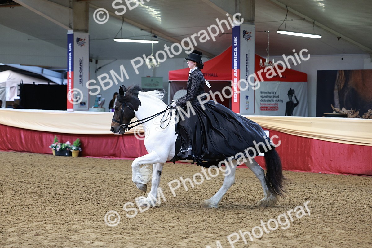 SBM_13783 - Class 106 - Ridden Costume -Astride Adult (15-19)