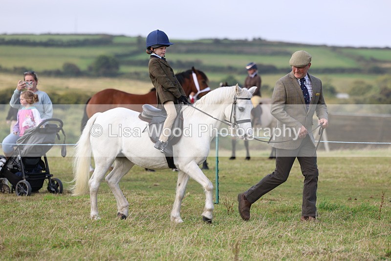 3E7A3478 - Class 2: Lead rein