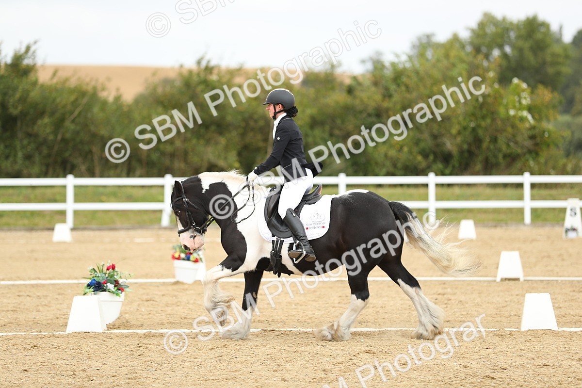 SBM_016450 - Class 13 - Novice 23 - 11.25-12.35