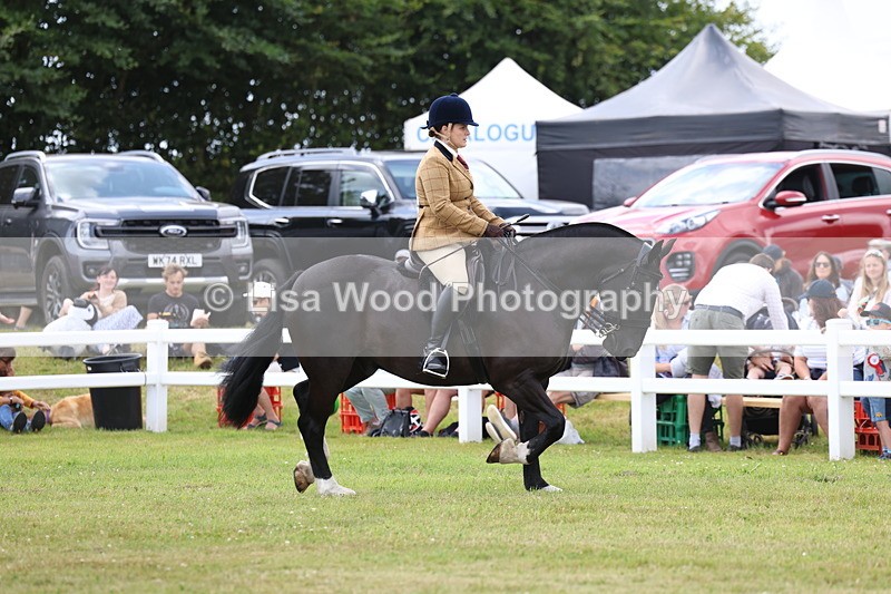 3E7A1853 - Class 10: Open Cob