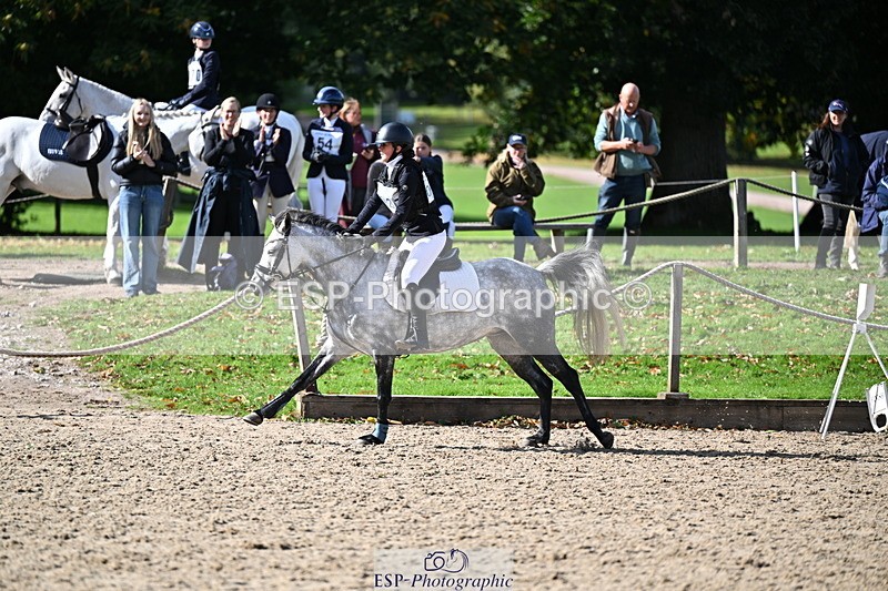 251005A-140737-04297 - Cls 09 Nov 80-85cm