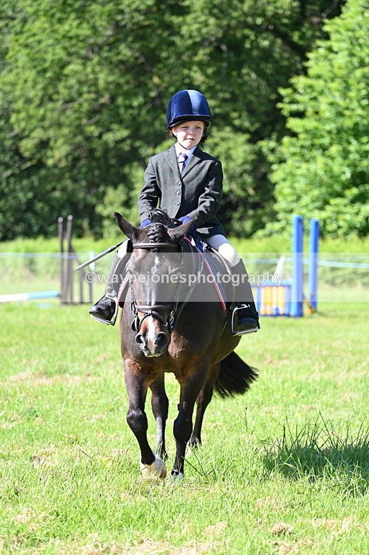 WJ7_0355 - Class 8 First Rally Pony