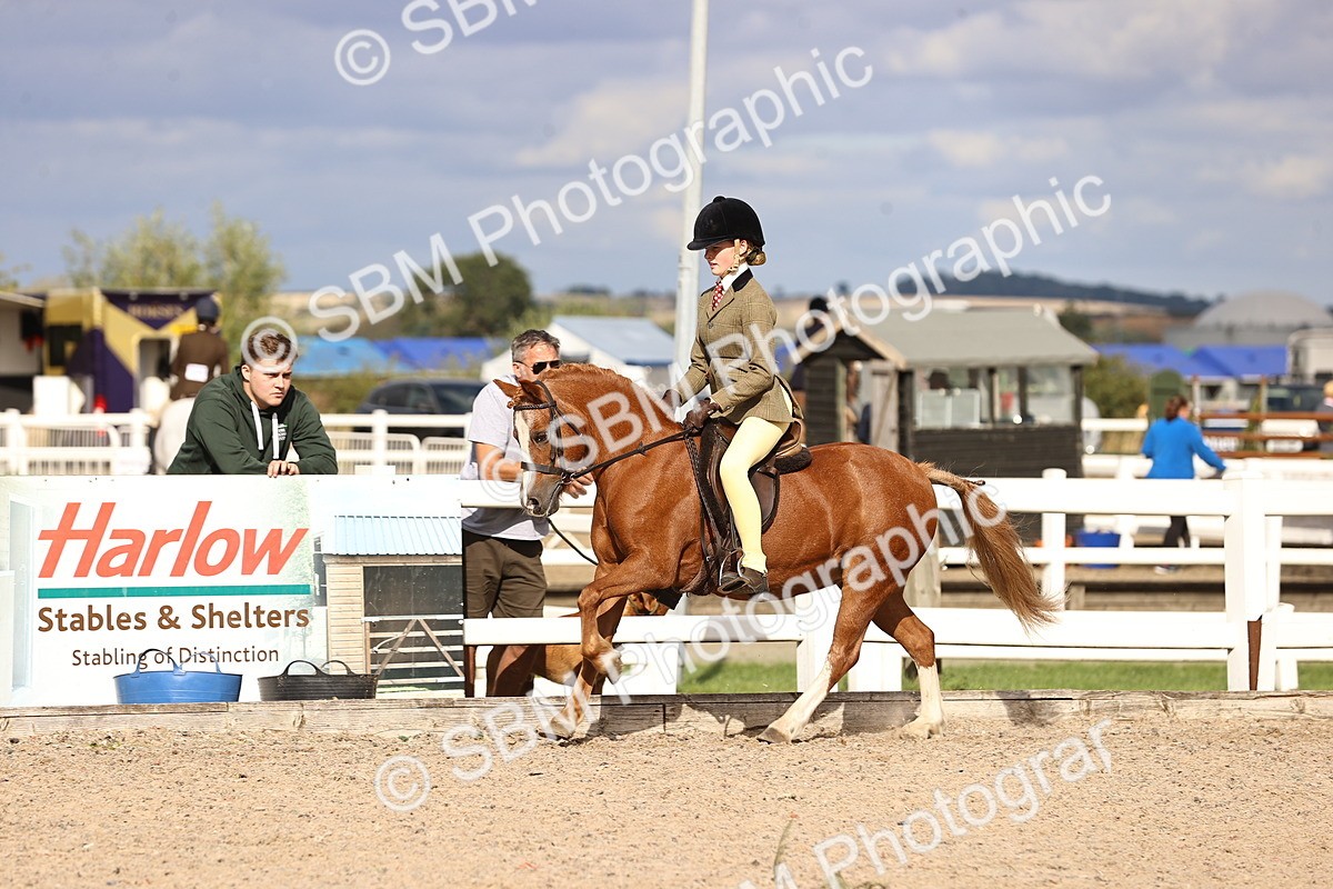 SBM_18045 - Class 422 - Equitation (Best Rider) Jnr